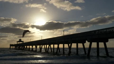 North Side Deerfield Beach Pier Sunrise Video stock 200843502