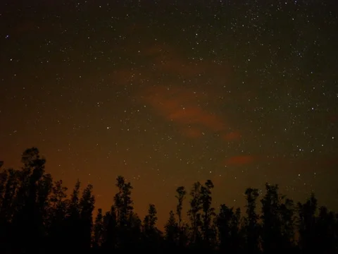 North Star Vidéo 39479654