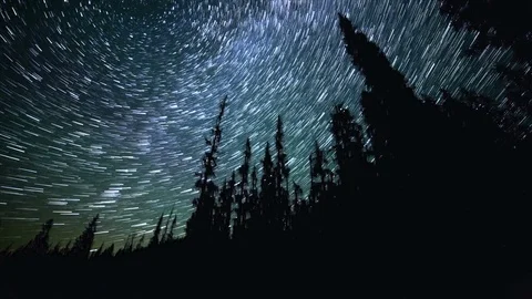 North Star over Forest on Mt. Hood Abstract Star Trails Night Time Lapse Stock Footage 81887306