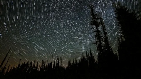North Star Over the Forest Star Trails Night Time Lapse Stock Footage 81887611