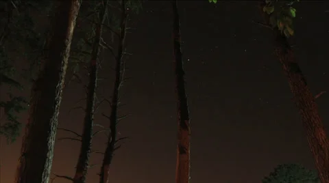 North Star Timelapse Stock Footage 35295284