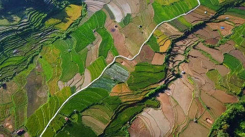 North Sumatra rice fields Stock-Footage 88075789