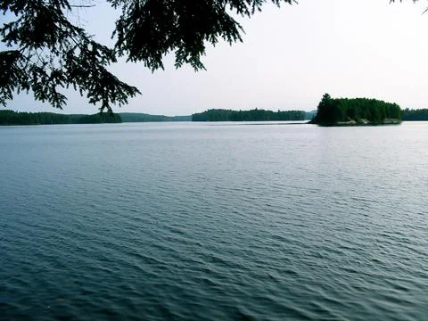 North Tea Lake 2004 Stock Photos