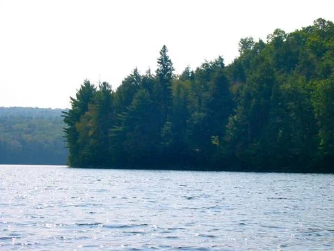 North Tea Lake 2004 Stock Photos