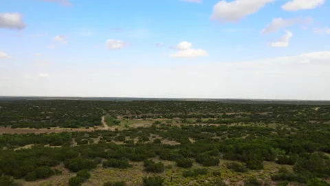 North Texas Field 스톡 동영상 231161498