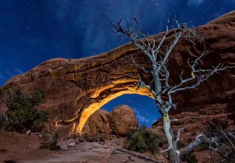 North WIndow and Moonlit Tree Stock Photos