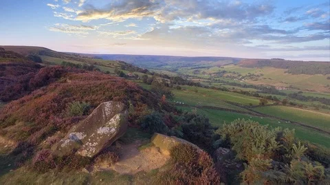 North Yorkshire Moor National Park, England : Aerial shot of flowering heather Stock Footage 86520459