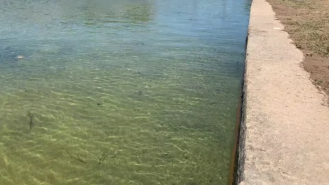 Northala  - 1 库存影片 155244747