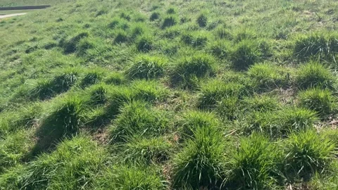 Northala  - 12 库存影片 155244743