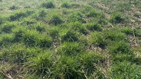 Northala  - 13 Stock Footage 155244933