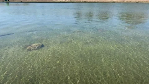 Northala  - 2 库存影片 155245084