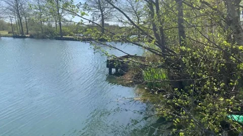 Northala  - 57 库存影片 155245997