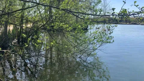 Northala  - 64 库存影片 155246221