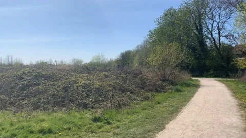 Northala  - 7 Stock Footage 155246293