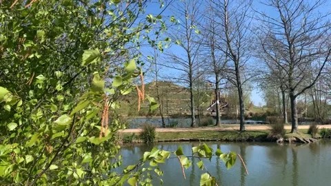 Northala  - 71 库存影片 155246311