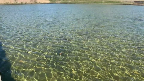 Northala  - 81 Stock Footage 155246422