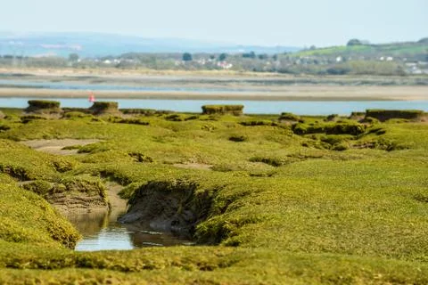 Northam Burrows mud flats in Devon make an unusual pattern during low tide Stock Photos