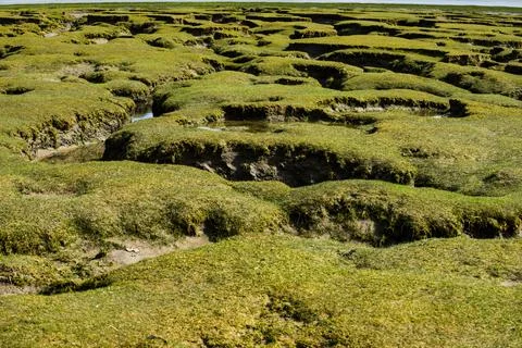 Northam Burrows mud flats in Devon make an unusual pattern during low tide Stock Photos