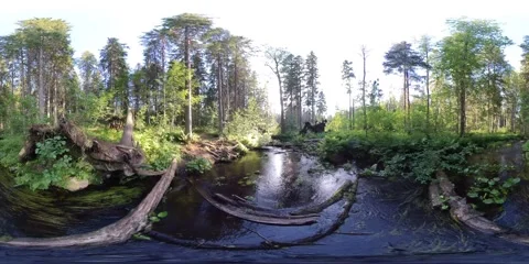 The northen forest stream 01, 360 vr video Stock Footage 156863783