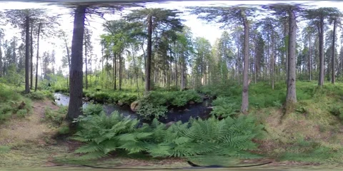 The northen forest stream 03, 360 vr video Stock Footage 156863812