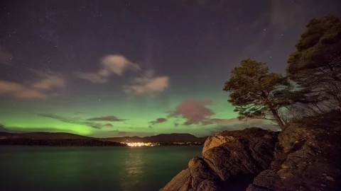 Norther Lights with pine tree Stock Footage 87797400