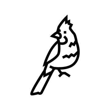 Northern cardinal bird exotic line icon vector illustration Stock Illustration