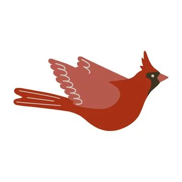 Northern cardinal bird vector illustration. Cute red songbird isolated on white Stock Illustration