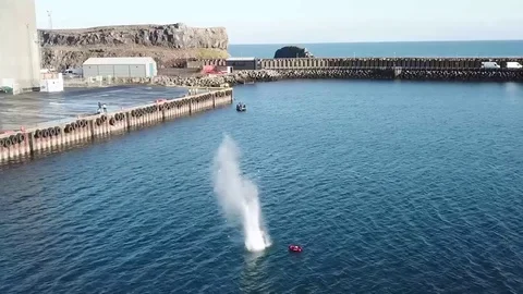 Northern Challenge, Iceland - bomb exploding underwater in dock Video stock 82336663