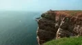 Northern Gannets at Helgoland HD Footage
