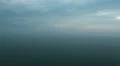 Northern Gannets at open sea HD Footage