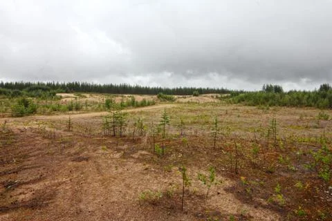 Northern landscape Stock-Fotos