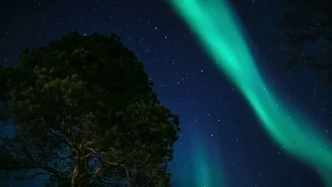 Northern light (aurora borealis) dancing gently by the side of a tree Stock-Footage 74060136
