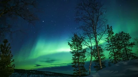 Northern light (aurora borealis) dancing gently in a forested area Stock Footage 74061316
