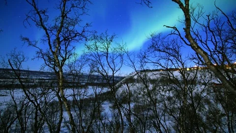 Northern light (aurora borealis) dancing gently in a forested area Vídeos de archivo 74501391