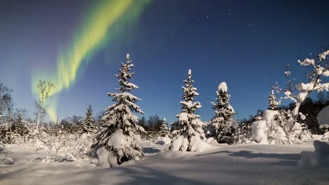 Northern light (aurora borealis) in a forest edge Vídeos de archivo 106472452
