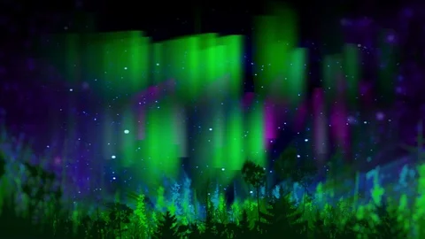 Northern Lights Stock Footage 69788819