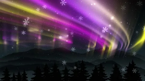 Northern Lights Stock Footage 223317502