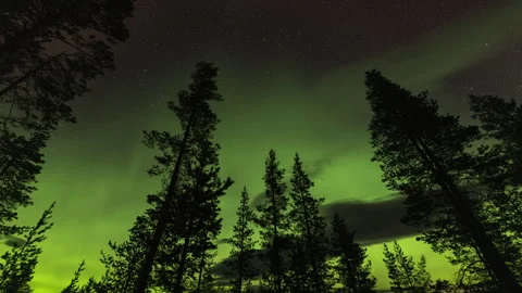 Northern lights from the forest Stock Footage 250283402