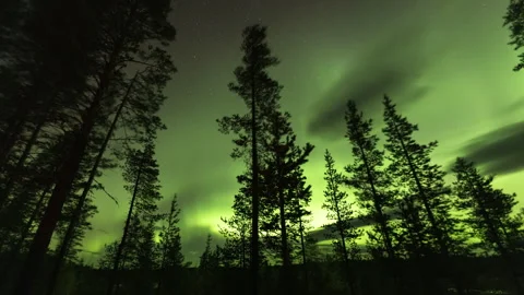 Northern lights over the forest Stock Footage 250283000