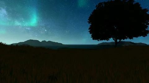 Northern lights over single tree in the meadow Stock Footage 134618823