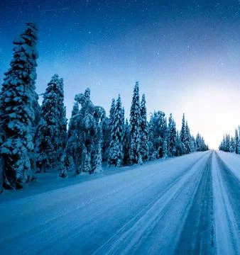 Northern Lights Over Snowy Road in Icy Forest Stock Photos