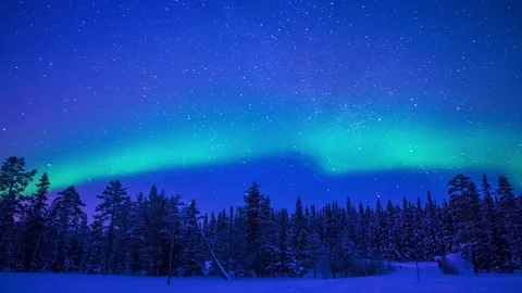 Northern Lights over the Winter Forest. Time Lapse Stock Footage 69870958