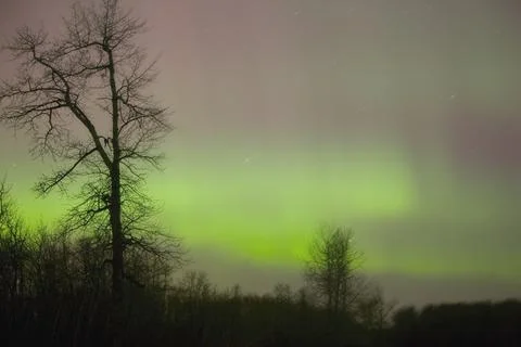 Northern Lights Stock Photos
