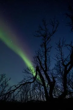 Northern lights Stock Photos