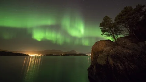 Northern Lights with pine tree Stock Footage 87800261