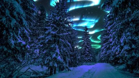 Northern lights Polar Aurora Borealis. Winter snowfall over a northern forest Stock Photos