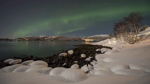 Northern Lights with snow Stock Footage 87950036