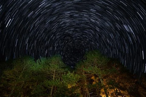 Northern Marquette Star Trail Pine Tree Stock Photos