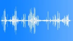 Northern Mockingbird Calls CUSound Effect