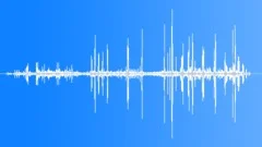 Northern Pintail MCU Calls Sound Effect